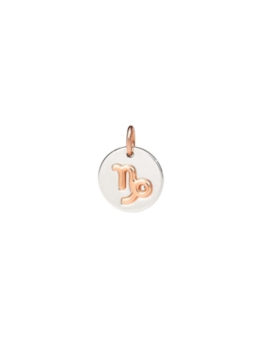 Charm Zodiaco Acquario