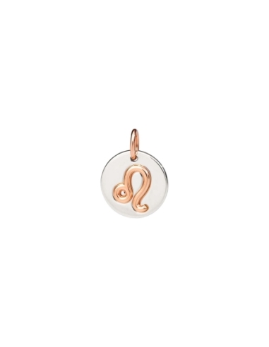Charm Zodiaco Capricorno