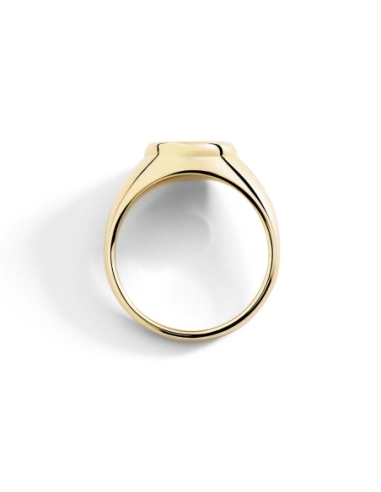 Anello sigillo in oro giallo con...